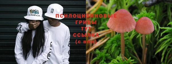 COCAINE Медвежьегорск