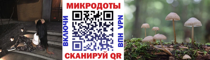 Галлюциногенные грибы Psilocybine cubensis  Купить где  Липецк 